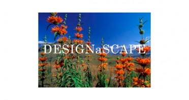 DesignaScape Logo
