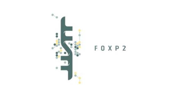 FoxP2 Group Johannesburg Logo