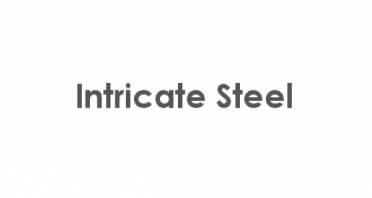 Intricate Steel Logo