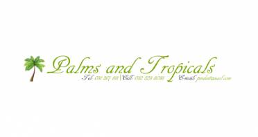 Palms & Tropicals Logo
