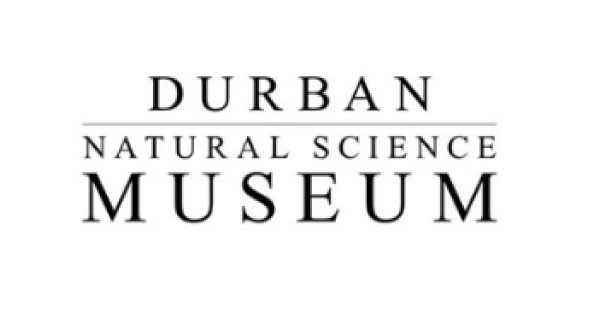 Library Durban North Logo