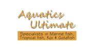 Ultimate Aquatics Logo