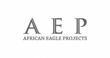 African Eagle Projects Logo