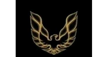 Individual Private Security (Patrick) Logo