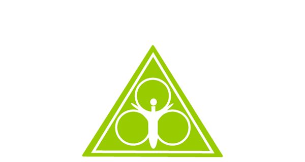 Pro Paedic Logo