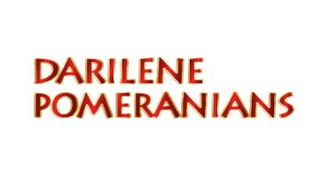 Darilene Logo