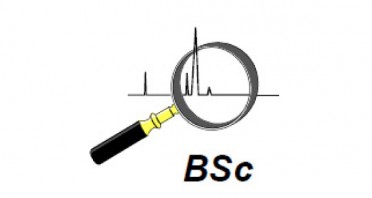 BSC Logo