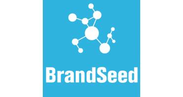 BrandSeed SEO Logo