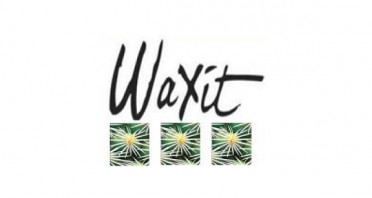 Waxit Beauty Salon Logo