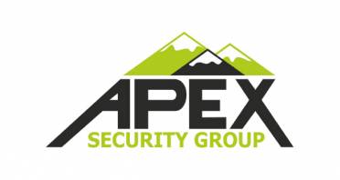 APEX Security Group Logo