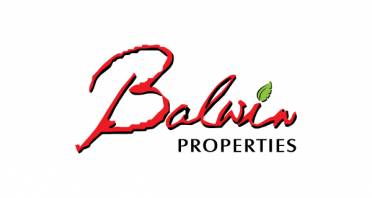 Balwin Properties Logo