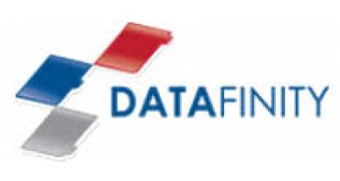 Datafinity Information Technology Logo