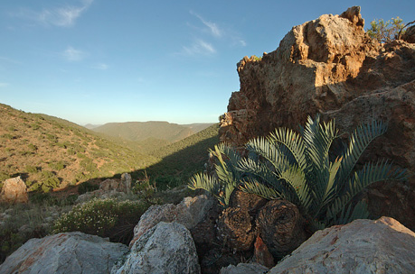 Sarah Baartman District Municipality Port Elizabeth ...