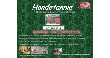 Hondetannie Logo