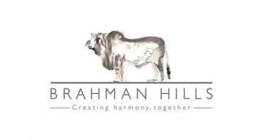 Brahman Hills Logo