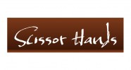 Scissor Hands Hair Salon Logo