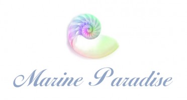 Marine Paradise Guest House Logo