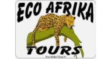 Eco Afrika Tours Logo