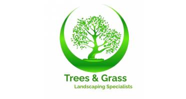TREES AND GRASS Logo