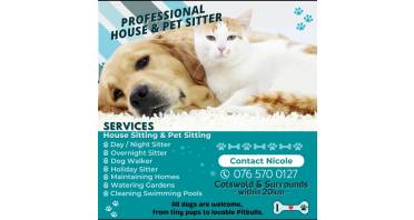 Pets and Housesitter Logo