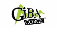 Giba Gorge MTB Park Logo
