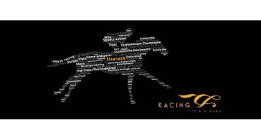 Turffontein Racecourse Logo