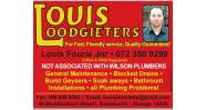Louis Loodgieters Logo